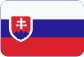 Zakładanie firm w Republice Czeskiej Slovensky